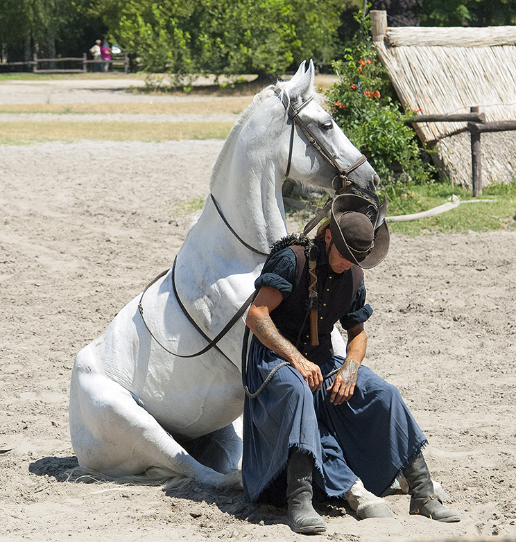 Hungarian horseman