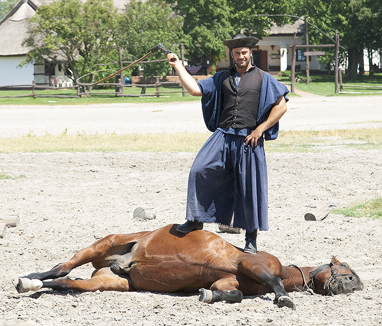 Hungarian Horseman