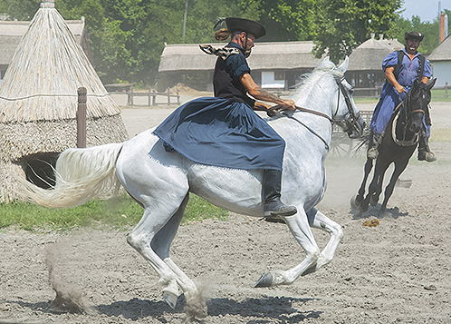 Hungarian Horseman