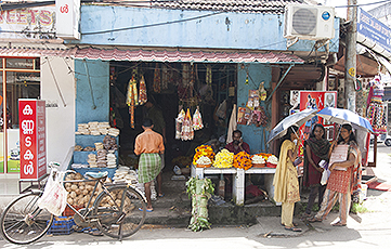 Kerala shop